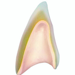 Phục hình sứ không kim loại 2